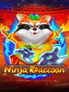 NinjaRaccoon